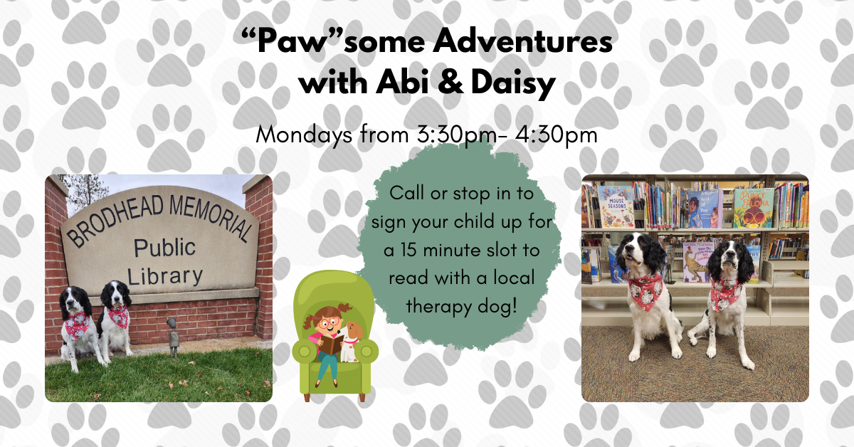 Read with a dog on Mondays from 3:30pm-4:30pm
