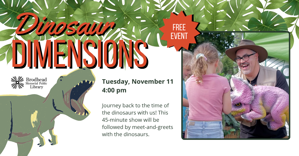 dinosaur dimensions