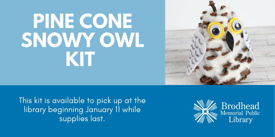 snowy owl pellet - central wisconsin 3-4-1, Owl pellets are…